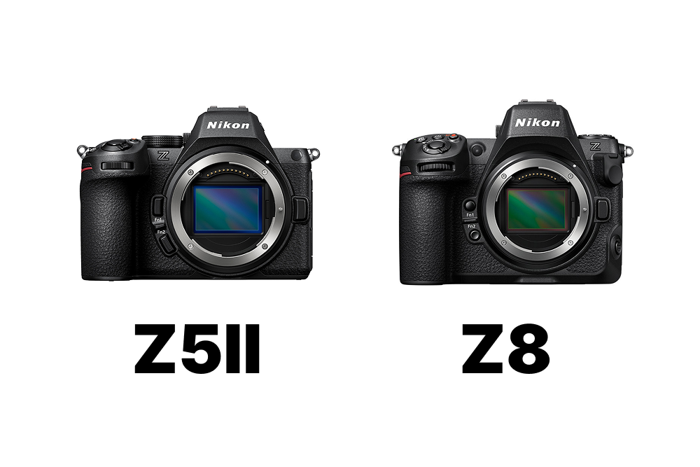2026年版】Nikon Z5IIとZ8の比較まとめ！画質・AF・動画・携帯性・価格